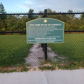 Young Pine Dog Park photo 2
